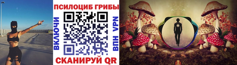 ОМГ ОМГ как зайти  Называевск  Галлюциногенные грибы Cubensis 