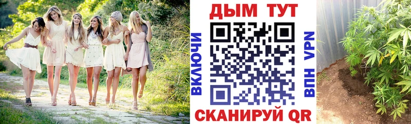 где купить наркоту  Называевск  Бошки Шишки VHQ 